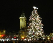 Praha_Vanocni strom